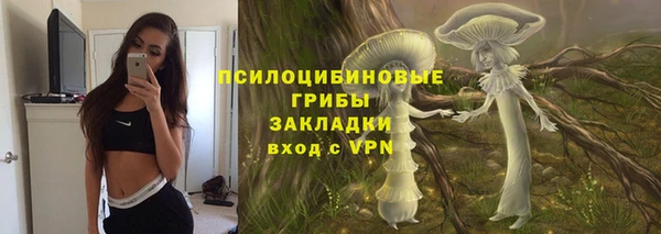 ECSTASY Пестово