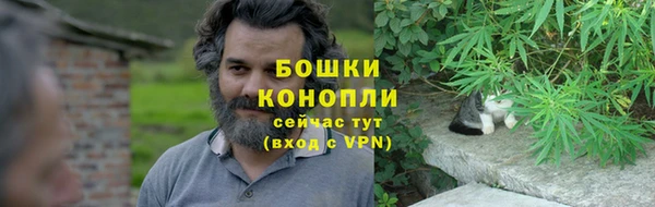 шишки Покров