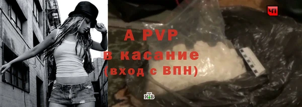 соль ск Пересвет