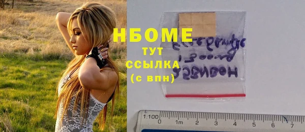 соль ск Пересвет