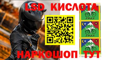 прущие грибы Абакан