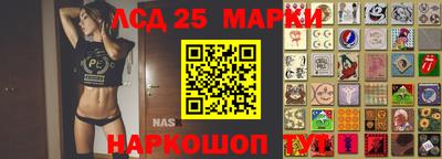 прущие грибы Абакан