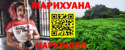 прущие грибы Абакан