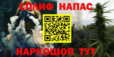 прущие грибы Абакан