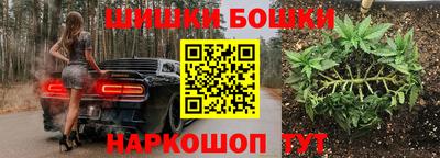 прущие грибы Абакан