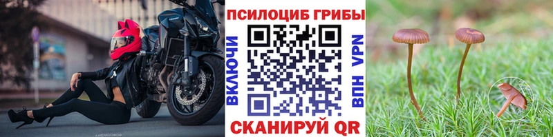 Галлюциногенные грибы MAGIC MUSHROOMS мориарти официальный сайт Светлоград