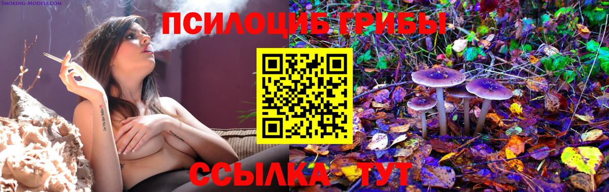 Псилоцибиновые грибы Cubensis  Псилоцибиновые грибы ЛСД  Светлоград  Вход с VPN 