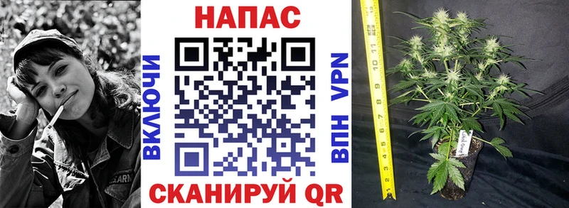 МАРИХУАНА индика  где можно купить   Светлоград 